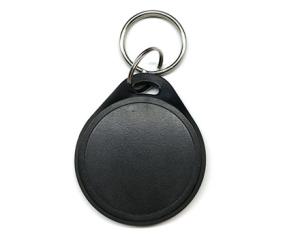 LF 125KHz EM4305 Access Control Identification RFID Key Fobs