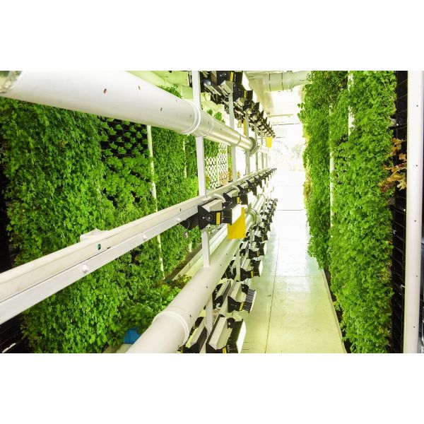 1200W Hydroponic Lamp Plant Grow Light UV + IR Dimmable