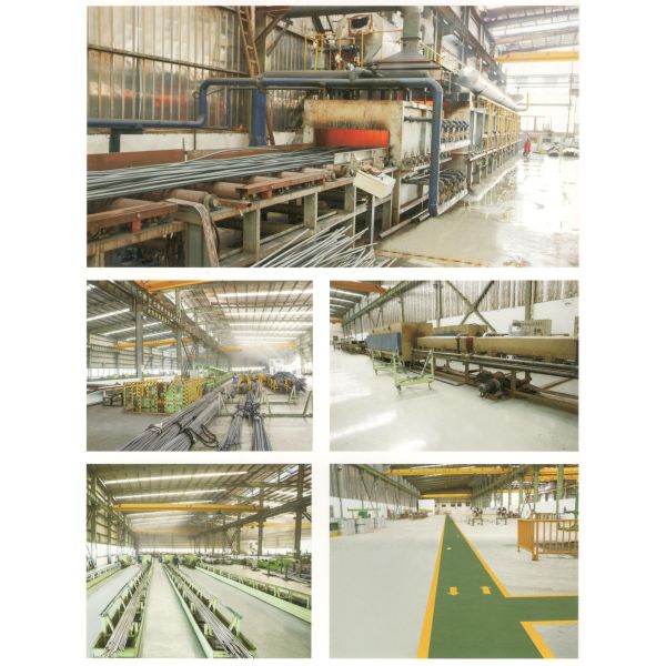 S31260 Seamless Welded Stainless Tube For Heat Exchanger