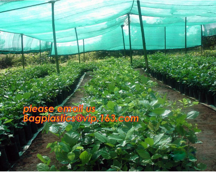 HDPE Virgin White Recycle Greenhouse Anti Insect Net,50 mesh cover greenhouse agricultural anti insect net insect nettin