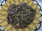 Original Flavor Salt Vinegar Sunflower Seeds