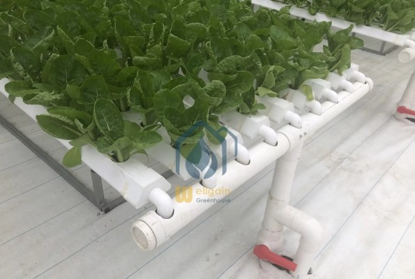 Greenhouse Hydroponic Vertical NFT Hydroponic System Soilless Vegetable Planting Troughs
