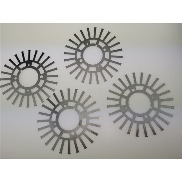 Professional Fine Blanking Die For Silicon Steel Sheet Stator And Rotor