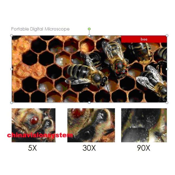 Low Cost 2.7Inch 500X Magnification 5MP Portable Digital Microscope