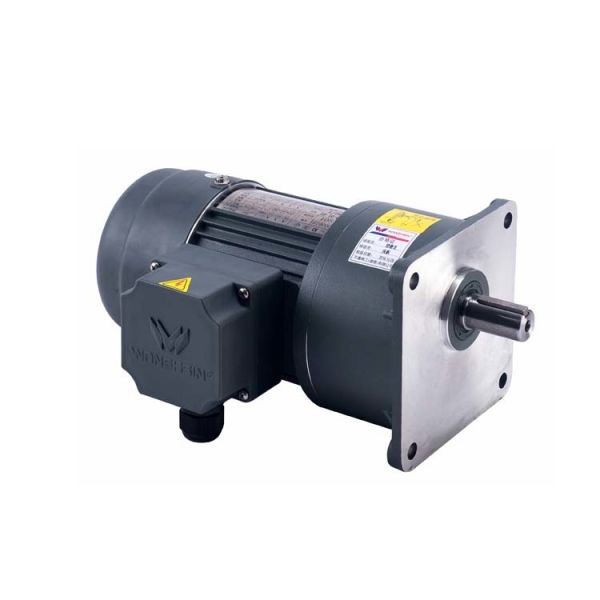 Low Noise IP54 3 Phase Motor With Brake Horizontal Installed