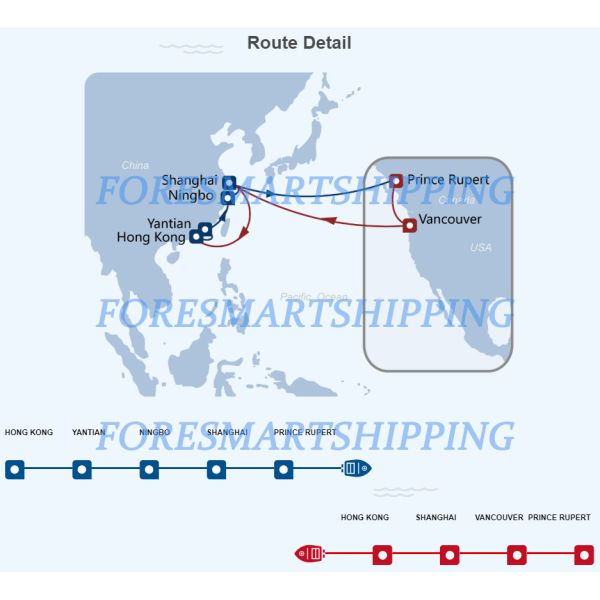 Shenzhen LCL Sea Freight , China To Canada LCL Ocean Shipping