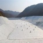 Geotextile and Geonet 3D Composite Drainage Net 3.4mm-8mm Thickness for