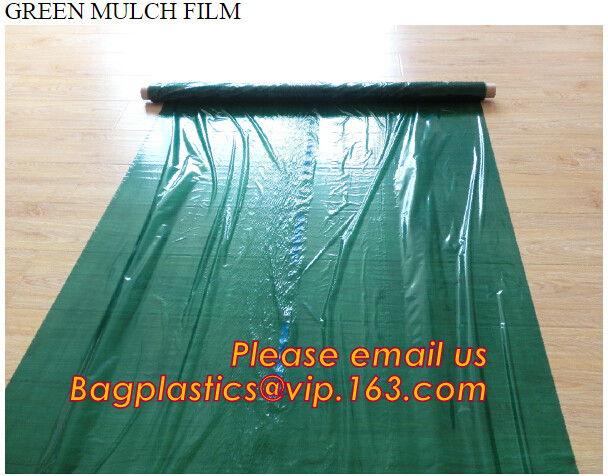 HOTICULTURAL MULCH FILM,AGRICULTURAL PE FILM,MARKET GARDENERS CLOCHE FILM,PE FILM FOR CORN,PLASTIC FILM COVER,TOMATO COV