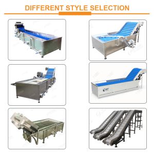 Multiple Temperature Control Carrot Washer Washing Machine Radish Cleaning