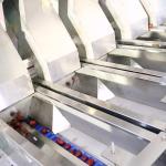 High Speed Dates Sorting Machine Optical 6.3KW 380V 6 Lanes