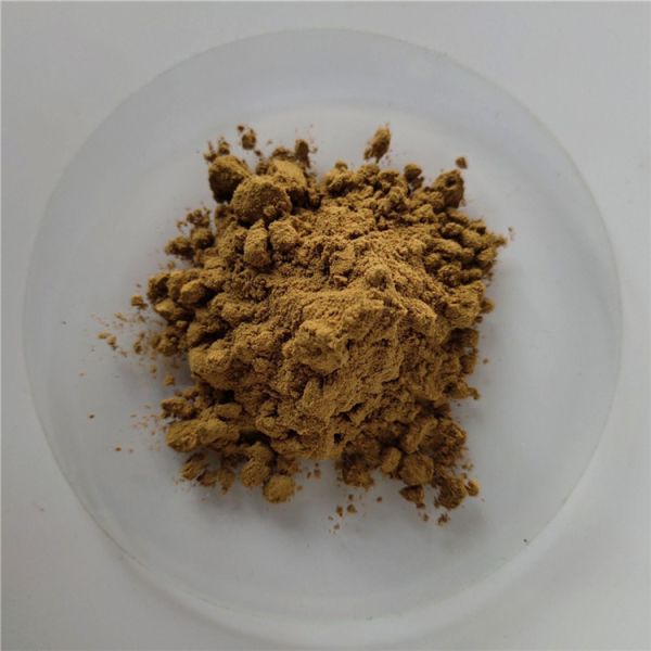China Immune Medicines Green Bristlegrass Herb/extract seagrass wholesale