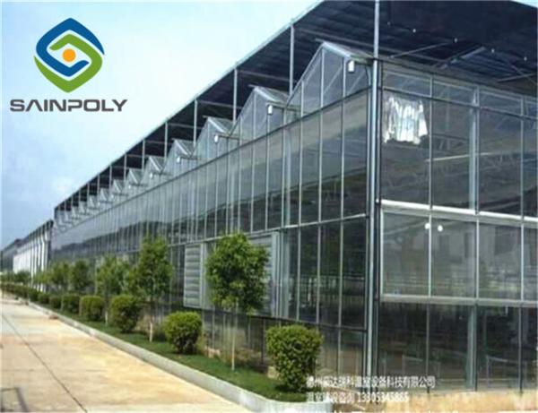 Quality Hermetic Agricultural Glass Greenhouse , Venlo Greenhouse Structure Aluminium Alloy Roof for sale