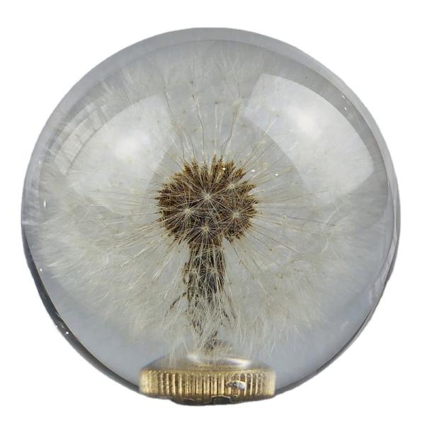 Quality Gear shift knob with real dandelion inside for sale