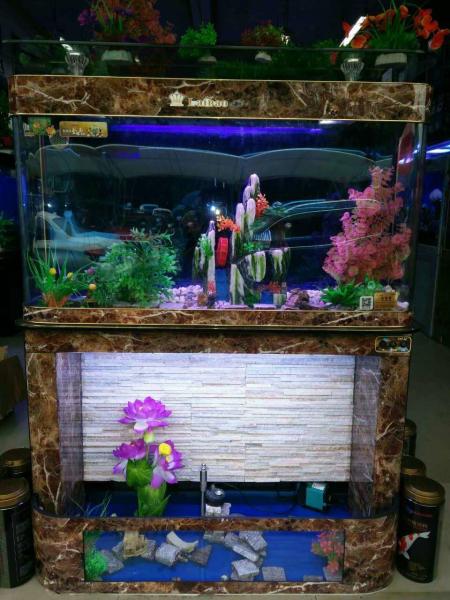 Quality water trickling series aquarium, fish tank, custom made according to your sizes, factory price, factory lead time, for sale