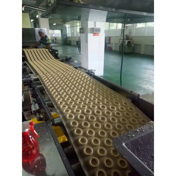 stainless steel automatic cookie biscuit soft biscuit machine rotary mould with speed