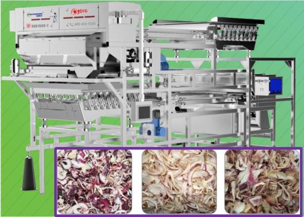 Quality Dehydrated Onion Color Sorter Machine 1.5 T/H Intelligent Interconnection for sale