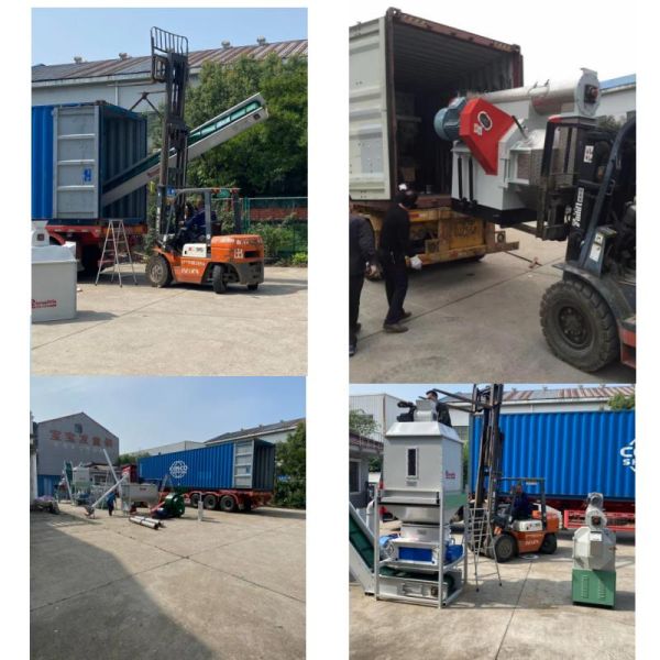 100kg To 10 Ton Pellet Mill Machine Animal Feed Pellet Production Line Biomass Fuel