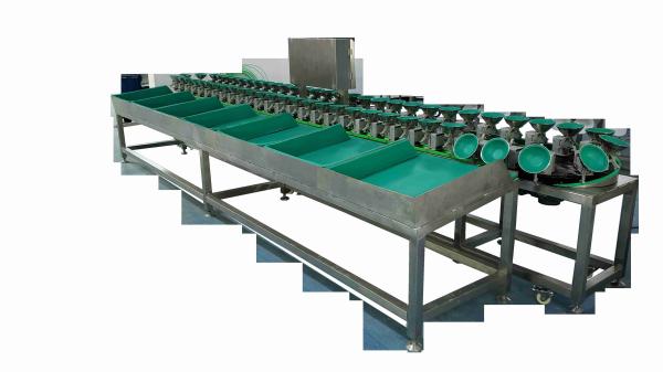 Quality 1000g Tray Fruit Sorting System for sale