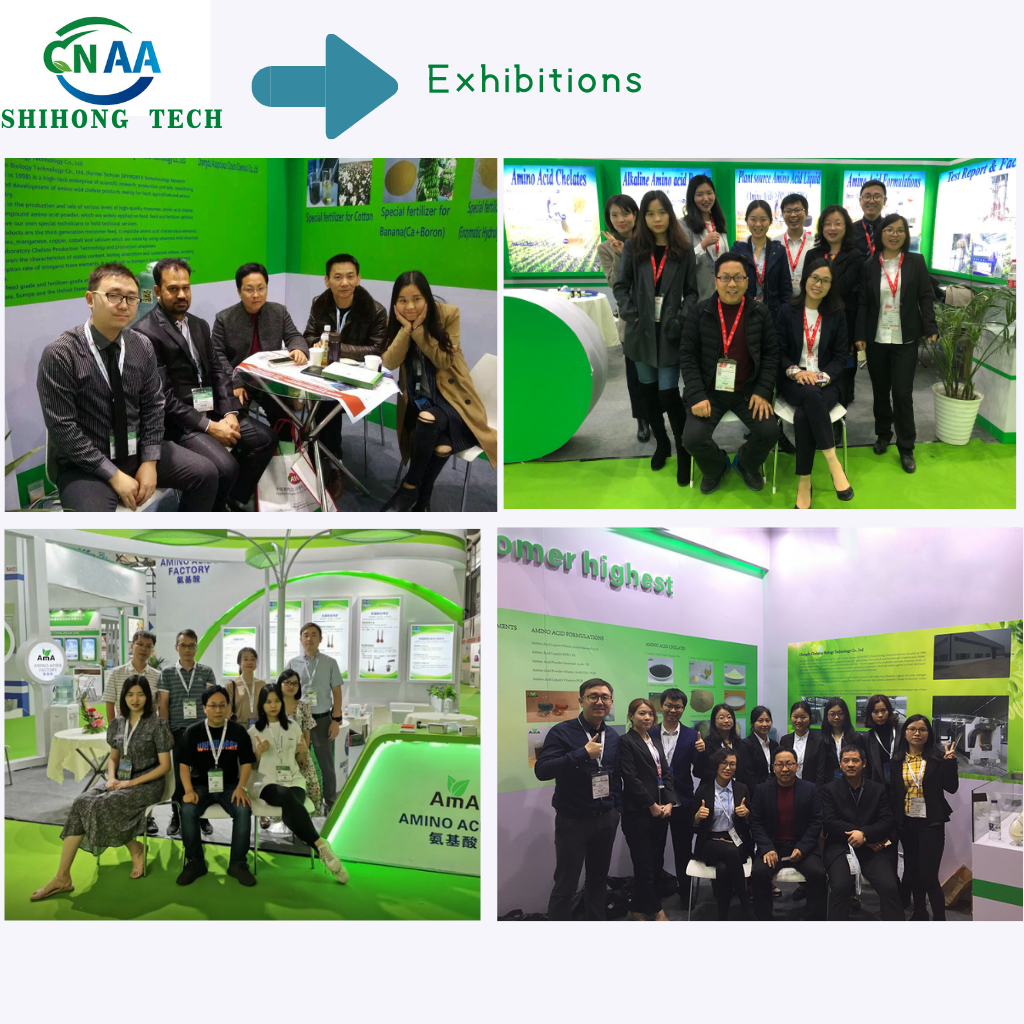 Enzyme Fish Protein Powder With Free Amino Acid High Active Peptide Multi Elements