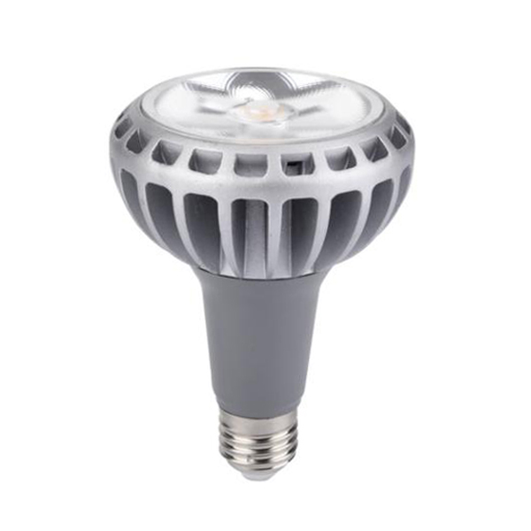 2500lm 28W COB Color Diameter 95mm Par30 LED Par Light