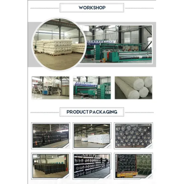 Two Layers and One Film Reservoir Seepage Control Composite Geomembrane in Landfill Tailings Treatment