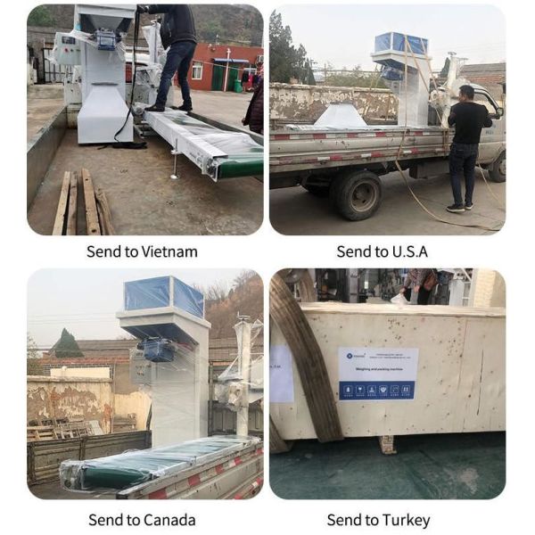Particle Automatic Weighing And Bagging Machine For Corn Feed Rice Weighmetric Filling