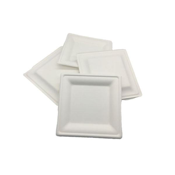 8 Inch Square Biodegradable Sugarcane Bagasse Plates