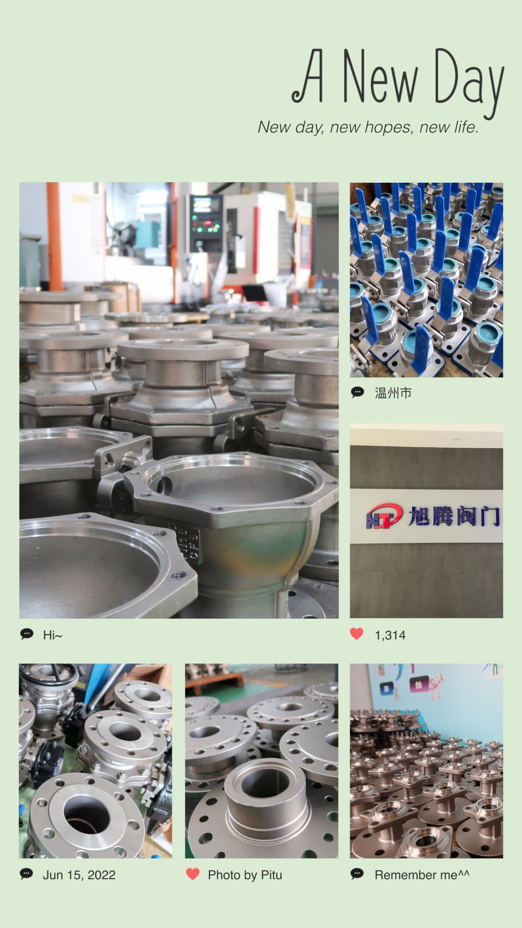 ANSI CE BS Standard Wcb Material Globe Valve