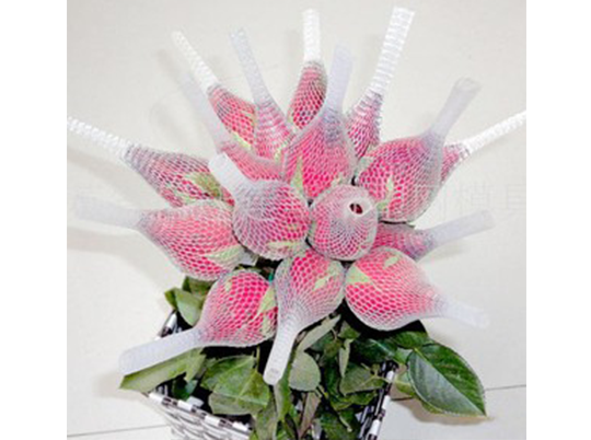 Flower mesh bag