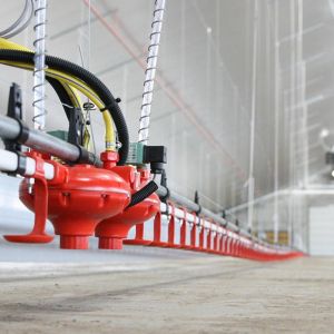 China Plastic Material Poultry Feeder And Drinker Long Service Time wholesale