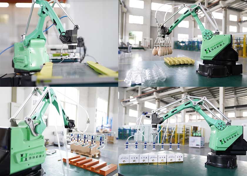 Fully Automatic Grabbing Sorting 1kg Collaborative Robot Arm