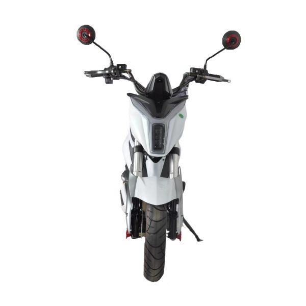 Citycoco Electric Scooter Motorcycle Adult Handicap 1500w