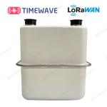 LoRaWAN Smart Gas Meter Secure Gas Consumption Meter Lithium Battery Digital