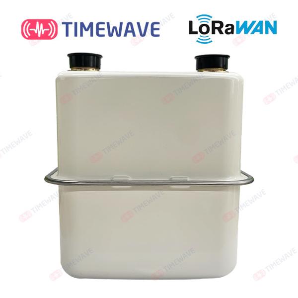LoRaWAN Smart Gas Meter Secure Gas Consumption Meter Lithium Battery Digital