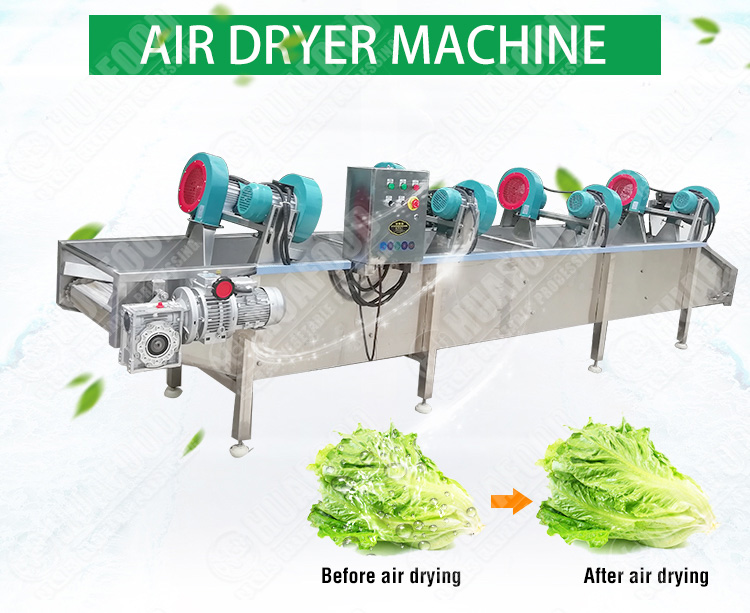 Commercial Car Air Blower Dryer Small Capacity