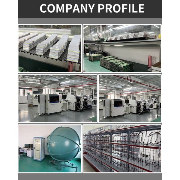 3014 LED Chip Automotive Light Bulbs White Light 360 Degrees Beam Angle T10 3014 24smd Constant Current Bright Led Bulb