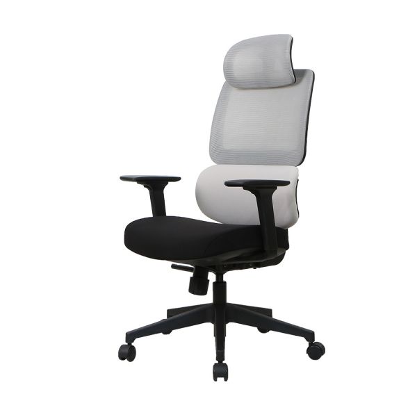 Home Office Chair with 3D Adjustable Armrest Desk Chair High Back Mesh Computer