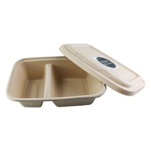 China Biodegradable Paper Pulp Lunch Container, Sugarcane Bagasse Food Container, Disposable Tableware wholesale