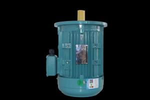 Reliable Single Phase Asynchronous Motor with IP55 Protection and High Humidity Resistance
