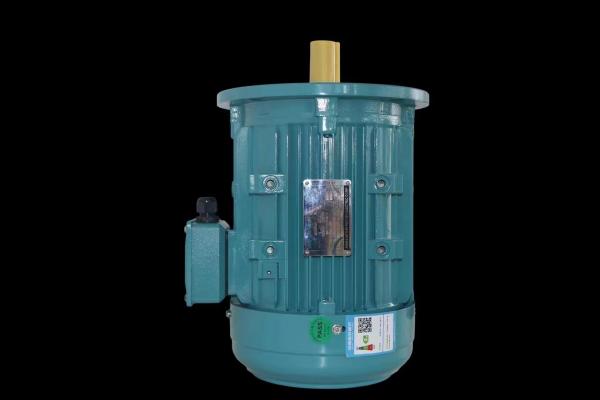 Quality Reliable Single Phase Asynchronous Motor with IP55 Protection and High Humidity Resistance for sale