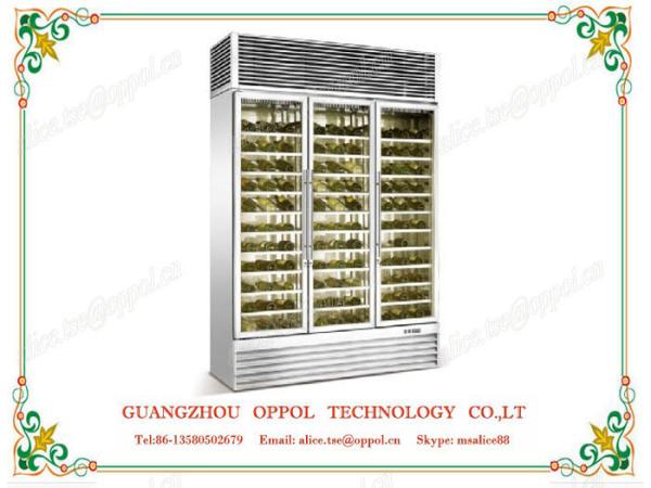 Quality OP-417 Automatic Defrosting System High Efficiency Compressor Wine Display Refrigerator for sale