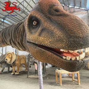 China Indoor Realistic Dinosaur Head Wall Mount Decorative Size Customized wholesale