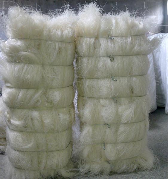 Quality 60kg Longkou Vermicelli Noodles for sale