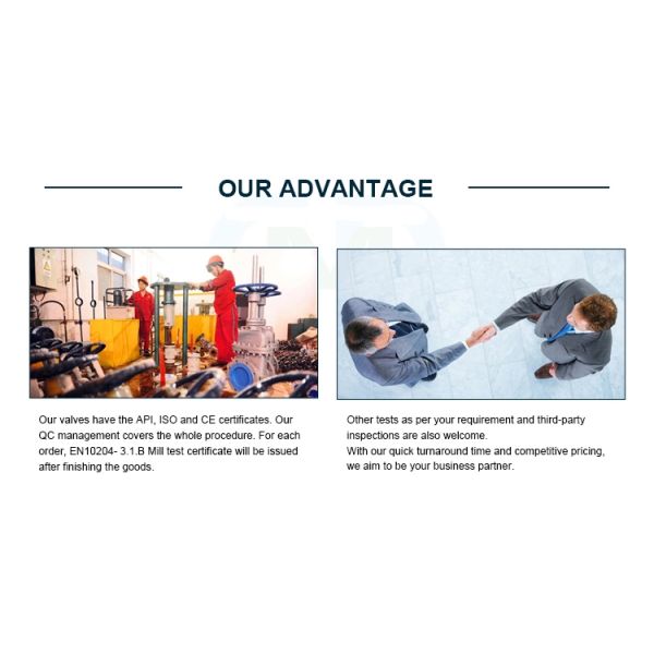 Flange Connection DN10 Cryogenic Ball Valve For LAr2