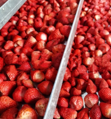 High Productivity 200kg per batch Honey Freeze Dryer Machine with Easy Operation