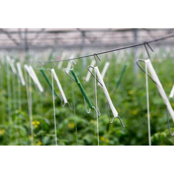 10m PP Tomato Trellis Twine With 10PCS J Hooks