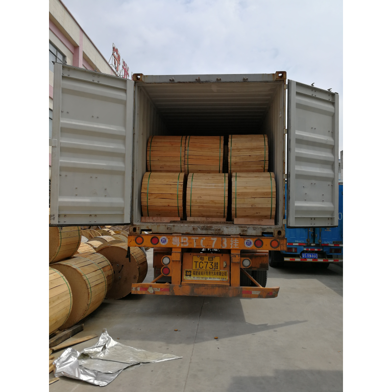 ftth outdoor armored fiber optic cable single mode GYTC8S cable