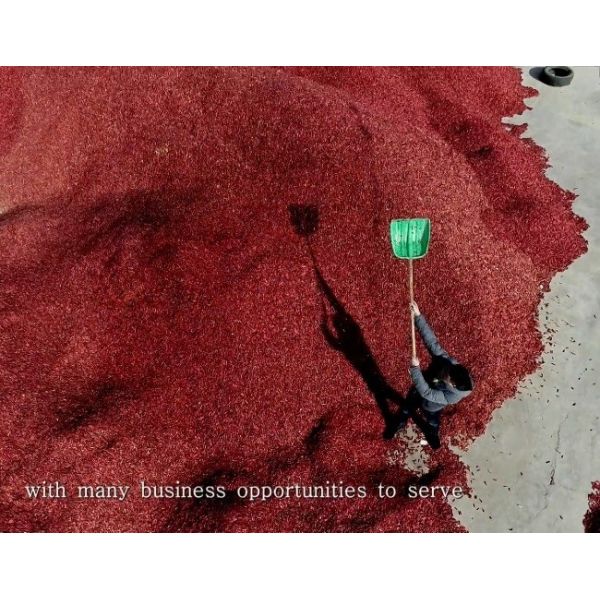 Chaotian Round Dried Red Chillies 6CM 30000SHU Whole Chilli Pods