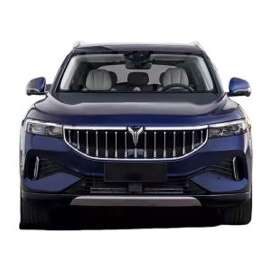 4905*1950*1645 Electric Energy Vehicles Suv Voyah Free 5seats And 4 Electric Vehicles Car With Made In 255/45 R20 2023
