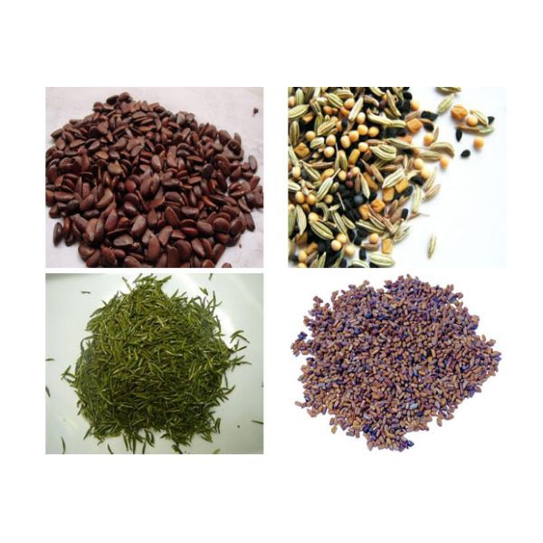 14 Head 0.5L Hopper 20g Kenwei Multihead Weigher